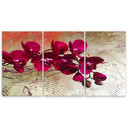 Impression sur toile en 3 parties, fleurs d'orchidées roses