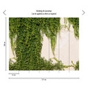 Fototapeta bluszcz zielony kremowy - tapeta flizelinowa Industrial Livingwalls - matowa i gładka