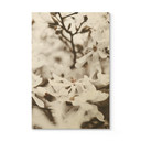 Plakat drewniany Annie - Jasmine