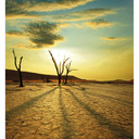Fotomural Valle del desierto - 240x260 cm