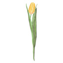 Sticker mural Tulipe jaune 