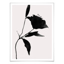 Plakat Kubistika - Nero