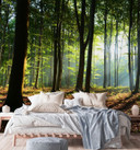 Fototapete, Wald Baume Sonne Natur Landschaft