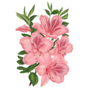Muursticker Roze Lelie