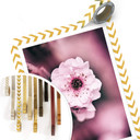 Plakat Blossom splendor - szczegół