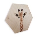 Hexagon Hout Sisi & Seb - Baby Giraffe