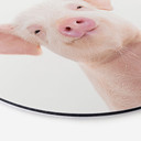 Tableau sur alu-Dibond Sisi & Seb - Porcelet - Rond