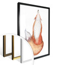 Plakat Kvilis - Fox 02