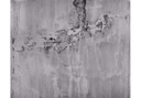 Papier peint photo - intissé -