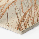 Hexagone - Bois Herbe des dunes