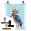 Plakat Loose - Kingfisher