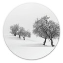 Wandcirkel Carrillo Lopez - White World