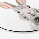 Tableau sur alu-Dibond rond Sisi & Seb - Oreilles de lapin