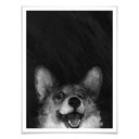 Plakat Graves - Sausage Fox Corgi