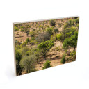 Plakat drewniany krajobraz sawanny w Afryce - Hugonnard
