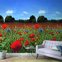 Fototapet med blomstereng og blå himmel Rød, Grøn, Blomstret 2,70 x 1,59 m