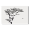 Wandbild Minimalistischer Baum in ruhiger Landschaft - Flour - Alu-Dibond