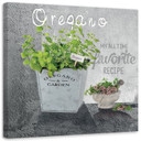 Canvasbillede, oregano køkkenurter