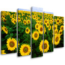 Lærredstryk 5 styk, Sunflowers Meadow