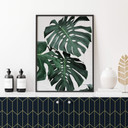Plakat Sisi & Seb - Monstera