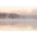 Skogssjö med dimma, premium non woven Fototapet från Livingwalls, väggar från Patel 3, Avalon 2
