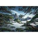 Fototapeta las sosnowy w górach Huang Shan - NingYun Ye