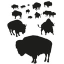 Wallsticker Buffalo flok