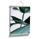Plakat - Urban Jungle - Monstera Deliciosa