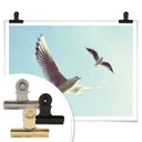 Plakat Mewy 02 