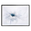 Plakat Parker - Frozen Flower