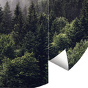 Fototapeta mglisty las - okrągła - tapeta flizelinowa/tapeta flizelinowa samoprzylepna