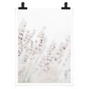 Plakat 1X Studio - Drobne trawy