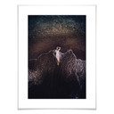 Plakat Bolgov - The swell