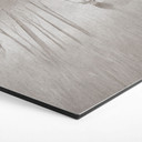 Wanddecoratie hert in nevelwoud - Ms Tiff - Alu-Dibond