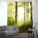 Skov ved solnedgang Tapet Fototapet Grøn,Blomst 2,70 x 2,12 m
