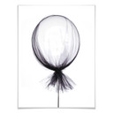 Plakat - Czarny balon