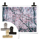 Plakat Pink Flower Dream 03