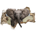 3D Wallsticker van Duijn - Babyelefant