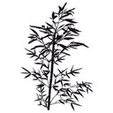 Sticker mural - Bambou Sauvage