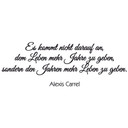 Wandtattoo Hortensie mit Wandspruch Set