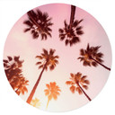 Naklejka na ścianę California Dreaming z widokiem na palmę - Hugonnard - Okrągła