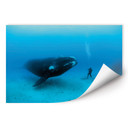 Poster autocollant - W - NG Baleine et Plongeur