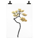 Plakat Bonsai w równowadze - Amini 