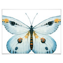 Plakat Kvilis - Butterfly 03