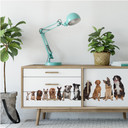 Zelfklevende Poster - 48 Poten