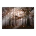 Glasschilderij Dingemans - Nevel in de Herfst