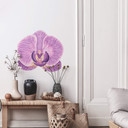 Sticker mural Fleur d'Orchidée