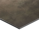 Wanddecoratie Bosmagie in de ochtendnevel Beige - Ms Tiff - Alu-Dibond