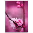 Canvasbillede, Lyserøde blomstrende planter