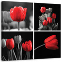 Canvasbillede, Røde tulipaner blomster